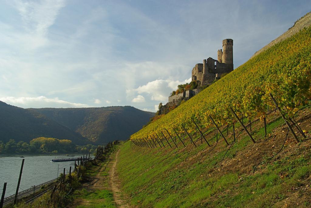 Bellevue Rheinhotel Boppard Kültér fotó